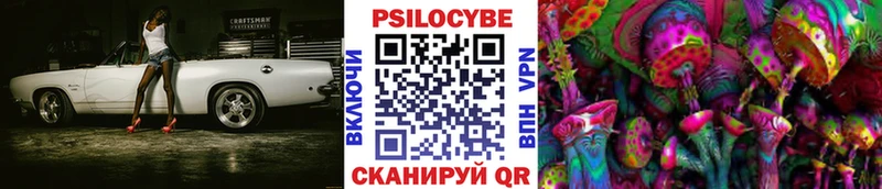 Псилоцибиновые грибы Psilocybine cubensis  Купить закладки  Моздок 